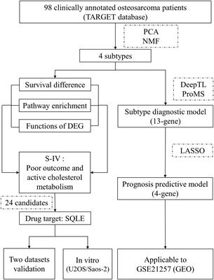 Molecular features and predictive models identify the most lethal subtype and a therapeutic target for osteosarcoma